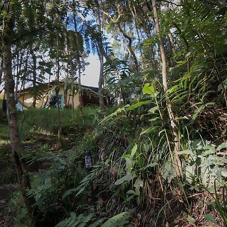 Encanto Minicasitas En Medio De La Naturaleza Santa Elena  Eksteriør bilde