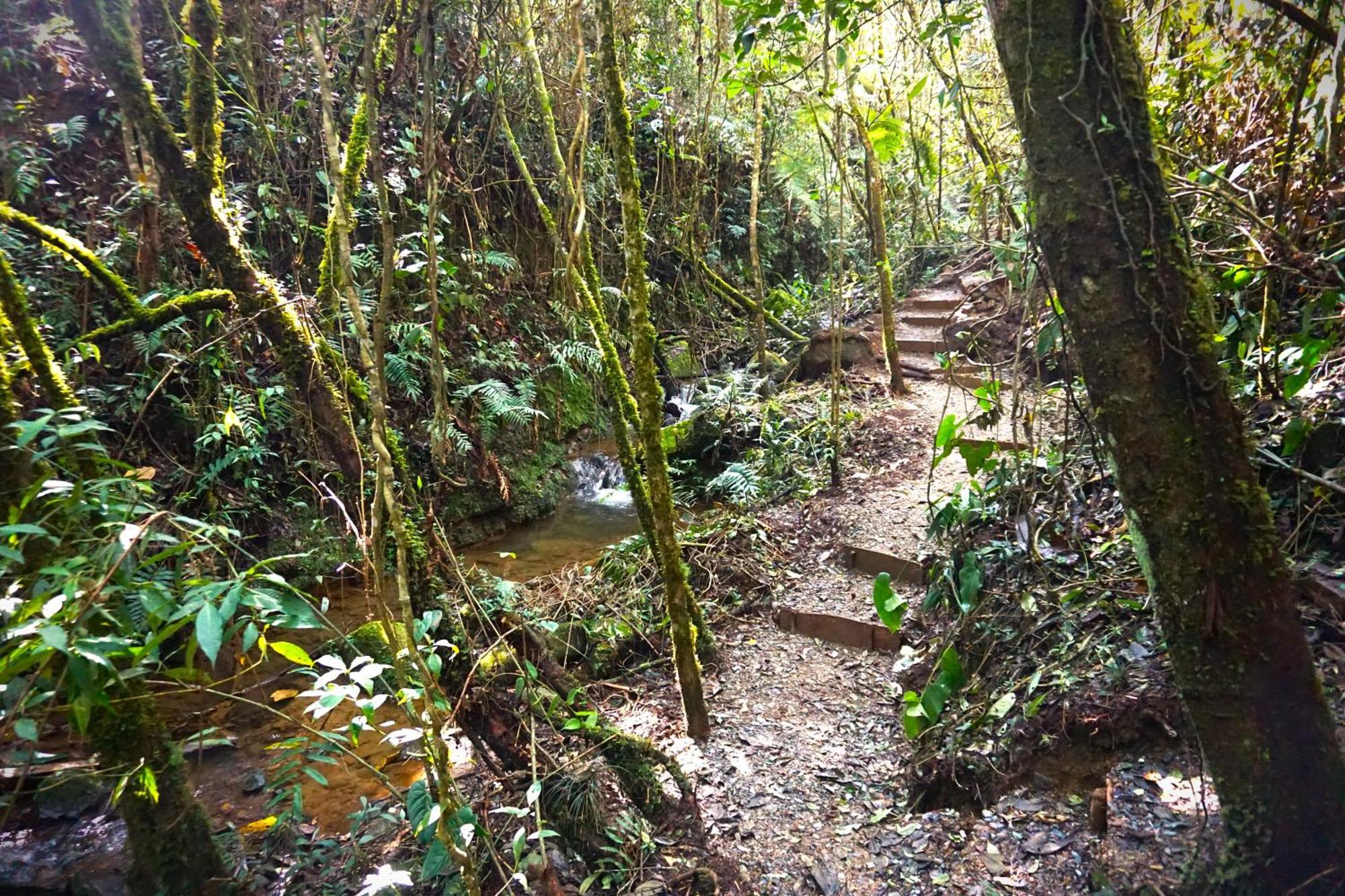 Encanto Minicasitas En Medio De La Naturaleza Santa Elena  Eksteriør bilde