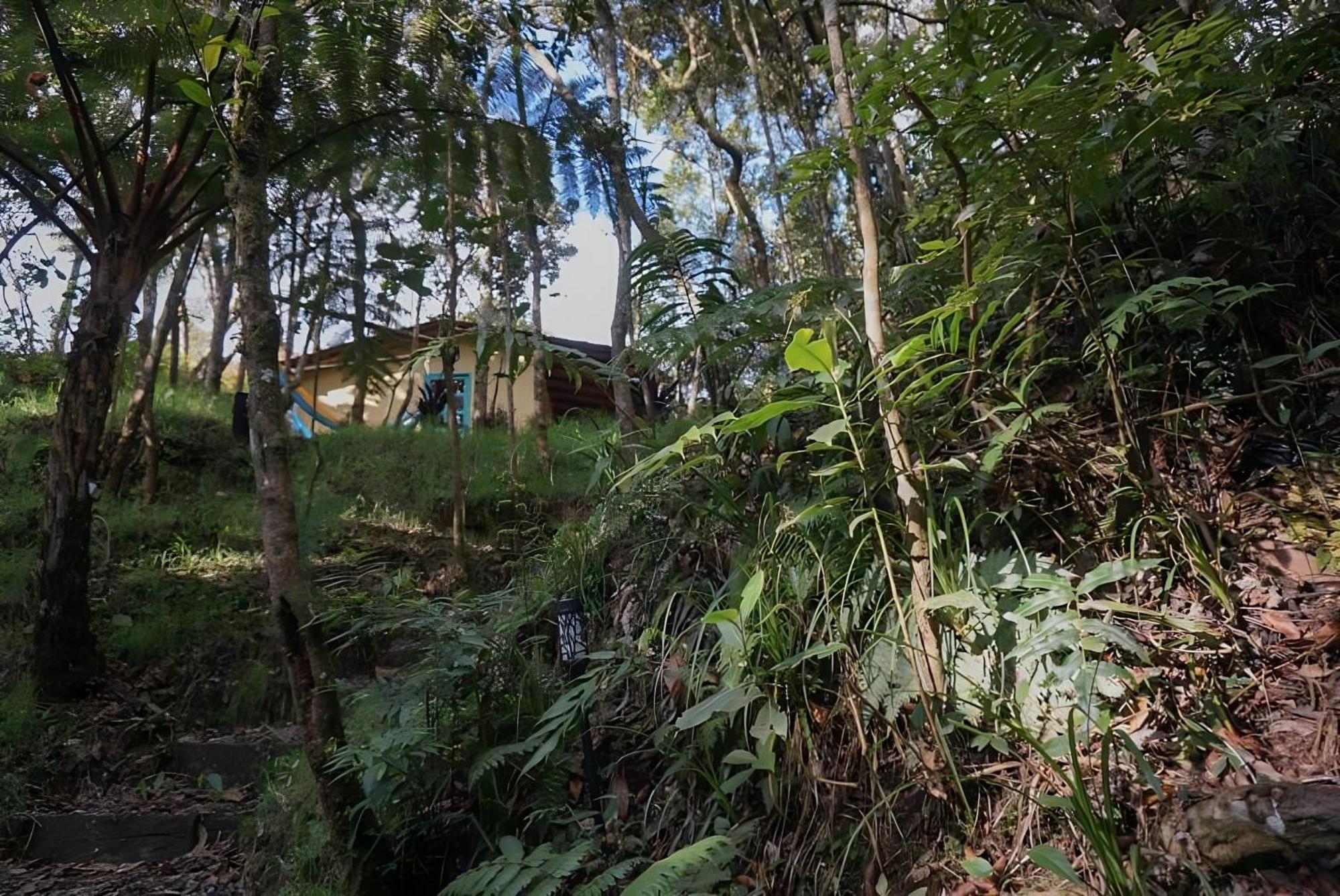 Encanto Minicasitas En Medio De La Naturaleza Santa Elena  Eksteriør bilde
