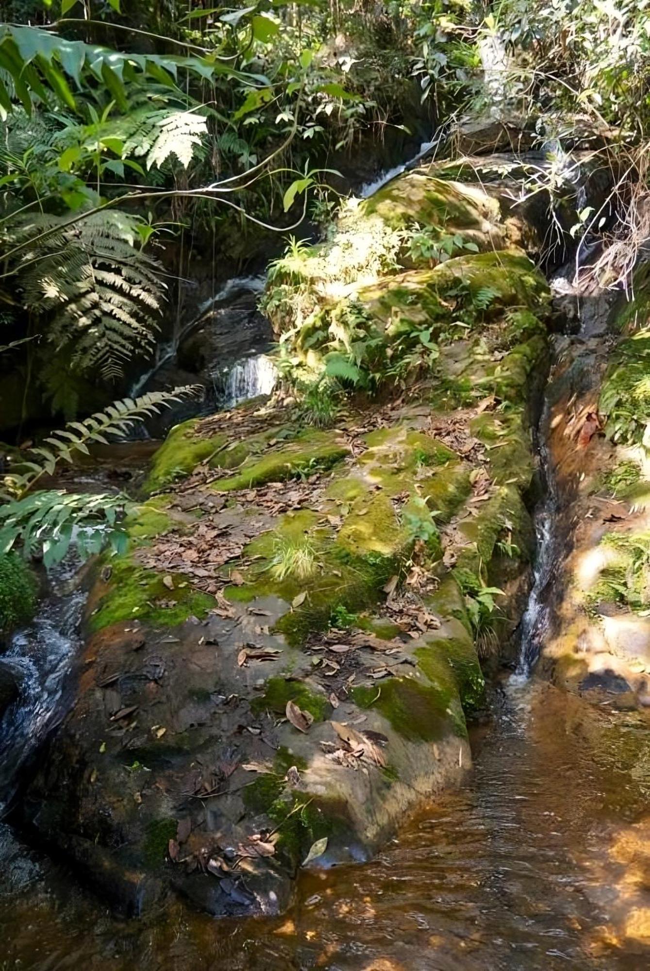 Encanto Minicasitas En Medio De La Naturaleza Santa Elena  Eksteriør bilde