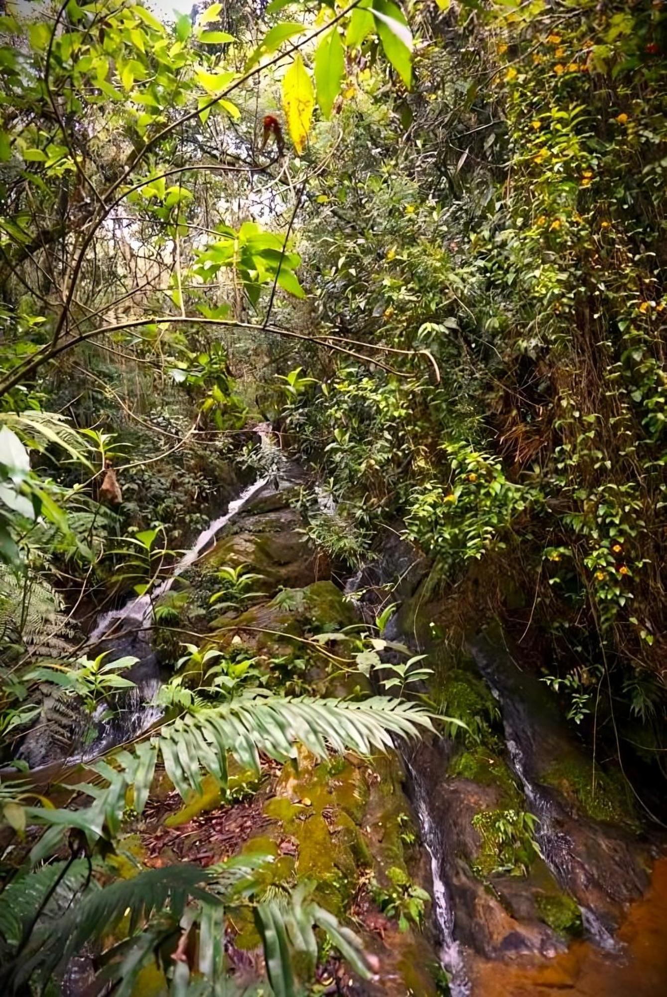 Encanto Minicasitas En Medio De La Naturaleza Santa Elena  Eksteriør bilde
