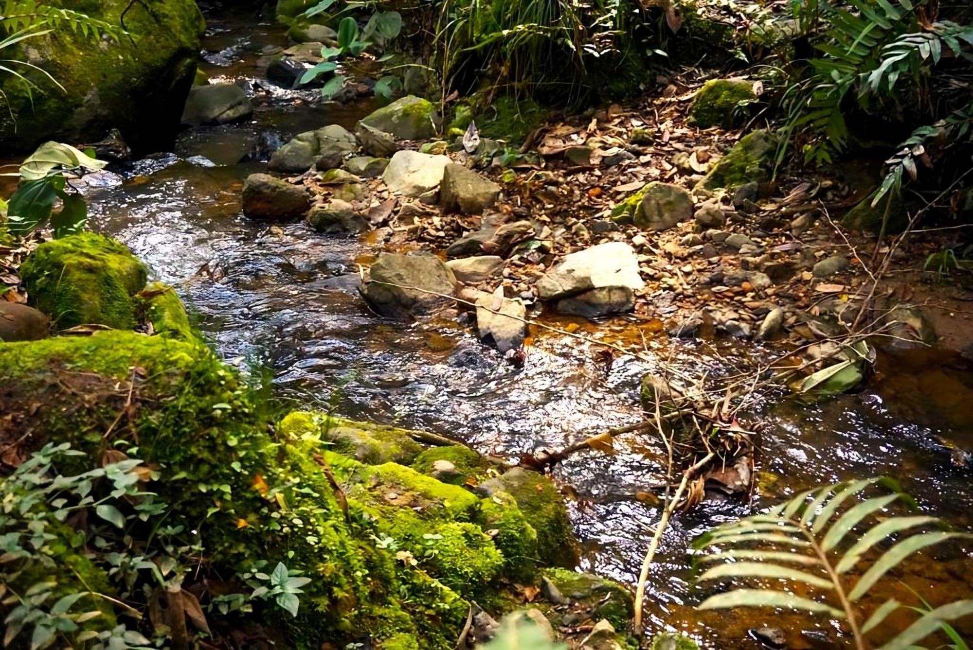 Encanto Minicasitas En Medio De La Naturaleza Santa Elena  Eksteriør bilde