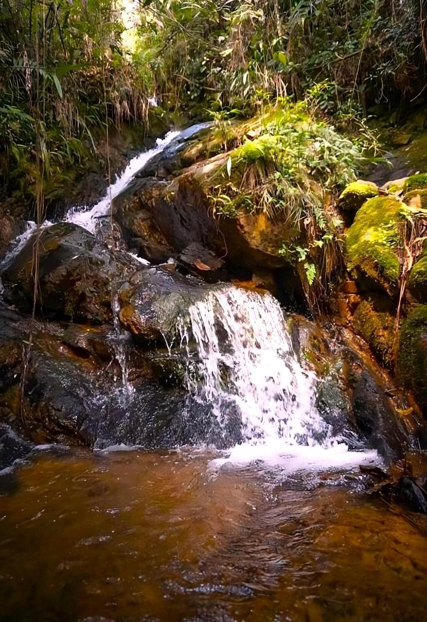 Encanto Minicasitas En Medio De La Naturaleza Santa Elena  Eksteriør bilde