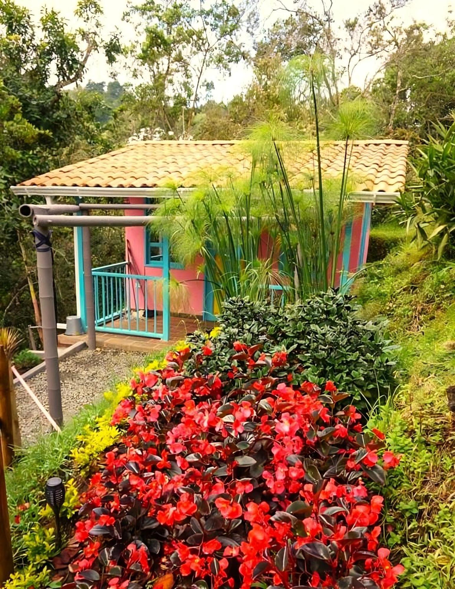 Encanto Minicasitas En Medio De La Naturaleza Santa Elena  Eksteriør bilde