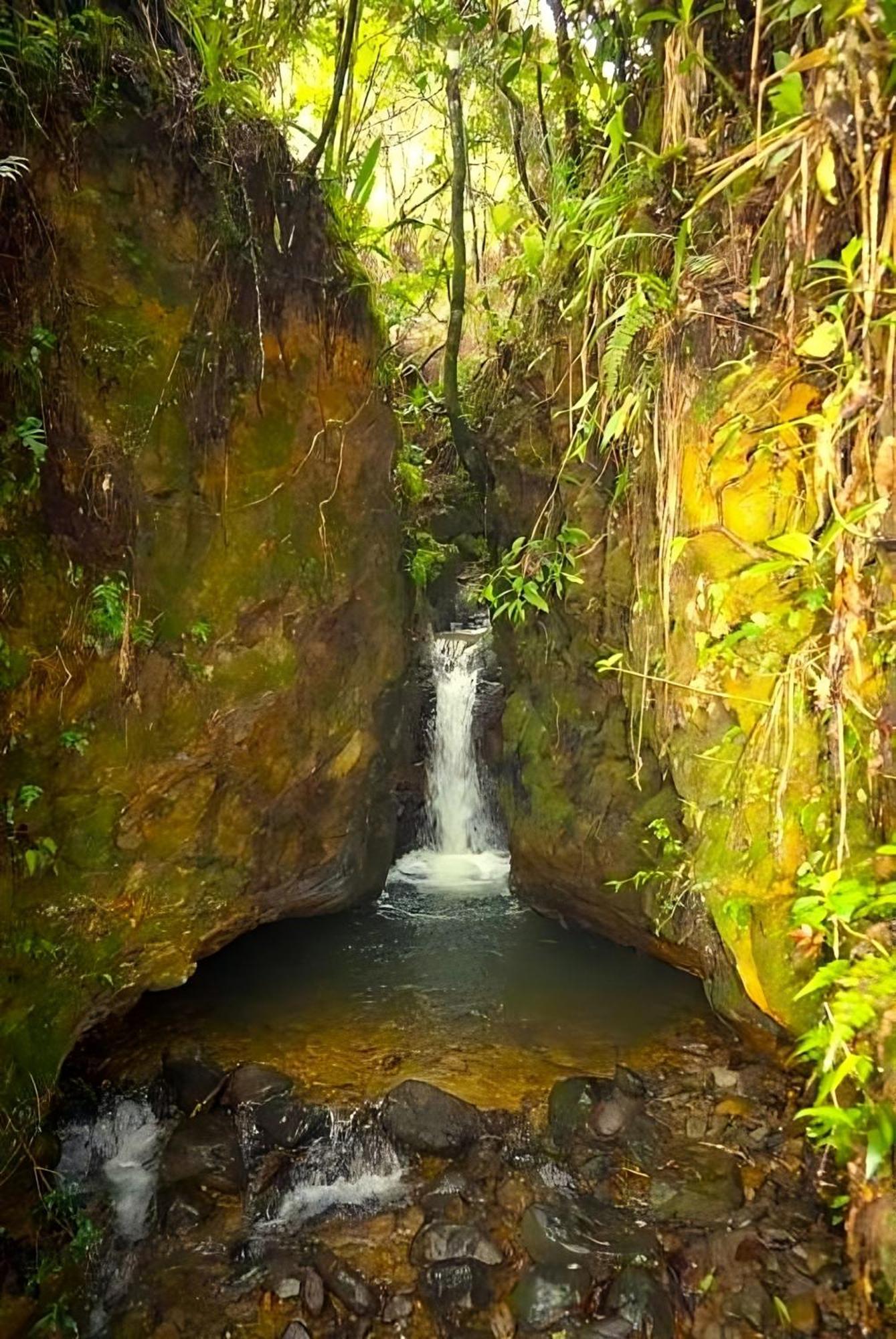Encanto Minicasitas En Medio De La Naturaleza Santa Elena  Eksteriør bilde